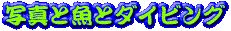�ʐ^�Ƌ��ƃ_�C�r���O�@�g�b�v�y�[�W��