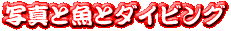 �ʐ^�Ƌ��ƃ_�C�r���O�@�g�b�v�y�[�W��