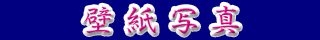 ǎʐ^