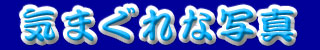C܂Ȏʐ^