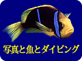 �ʐ^�Ƌ��ƃ_�C�r���O�@�g�b�v�y�[�W��