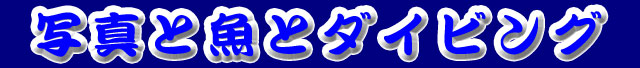 �ʐ^�Ƌ��ƃ_�C�r���O�̃g�b�v�y�[�W��